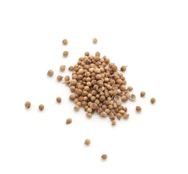 Coriander seeds spices isolated on white background