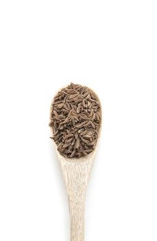 Cumin dry spice in wooden spoon isolated on white background