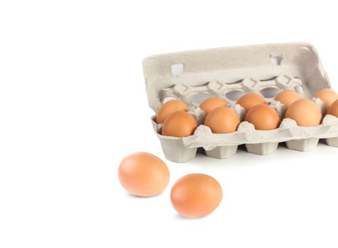 Chicken eggs in pulp egg carton isolated on white background