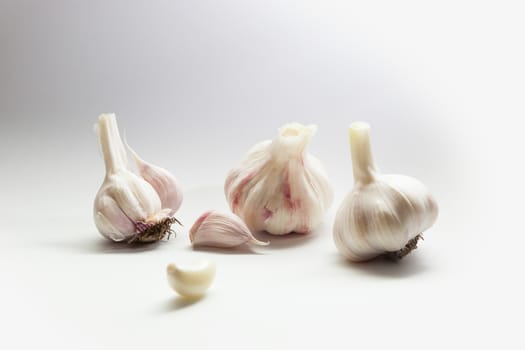 Garlic. Bulbs and cloves isolated on white background.