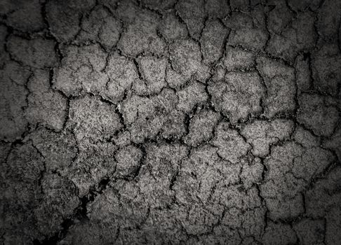 Crack soil on dry season. Dried cracked earth soil ground texture background.