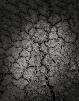 Crack soil on dry season. Dried cracked earth soil ground texture background.