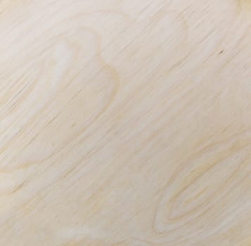 Light wood texture, may use as a background. Closeup