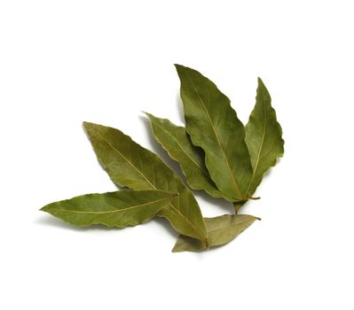 Bay leaves isolated on white background