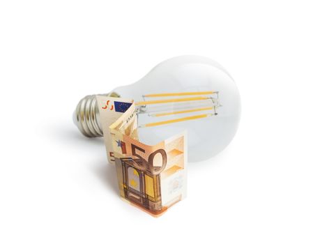 LED filament light bulb with Euro money on a white background. Concept.