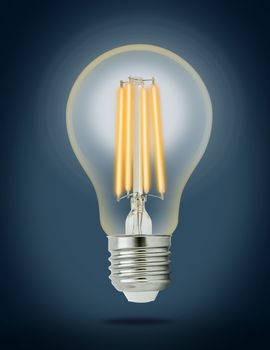 LED filament light bulb (E27). With clipping path