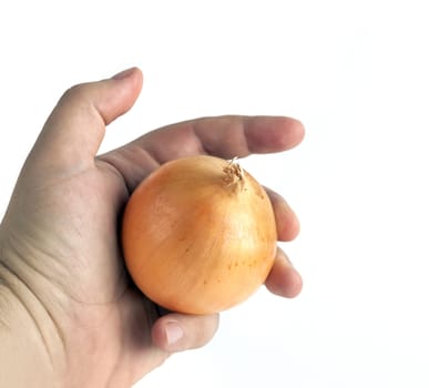 Ripe onion in a man's hand isolated on a white background