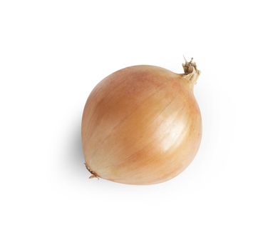 Ripe onion isolated on a white background. With clipping path