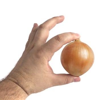 Ripe onion in a man's hand isolated on a white background