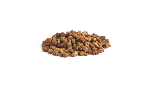 Dry food for dog and cat, isolated on white background