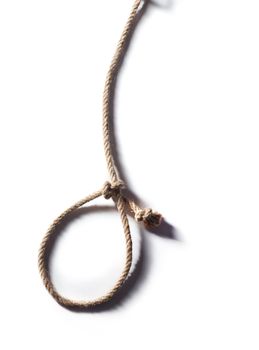 Hangman's noose isolated on a white background, a symbol of death. Hemp Rope Knot.