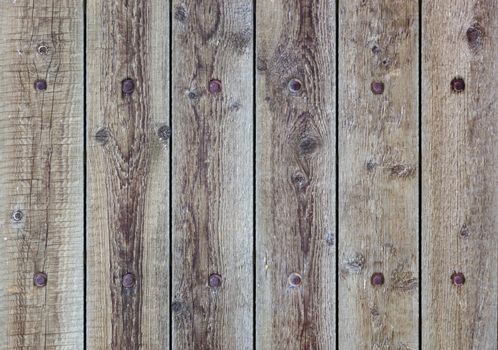Wood texture. Background old panel with rusty nails