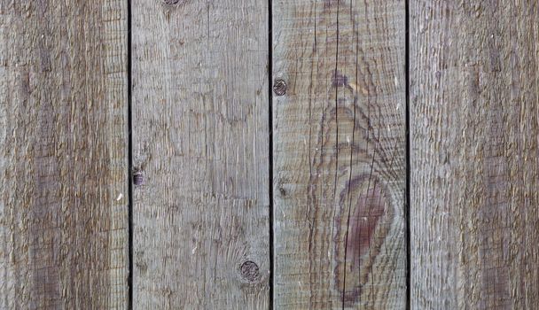 Wood texture. Background old panel closeup