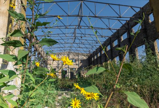 Old abandoned industrial factory Krayan in Odessa, Ukraine, in a sunny summer day