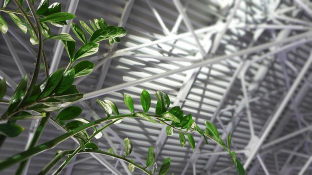 Green plant and metal roof - architecture inside contemporary business hallway. empty interior background. spring background