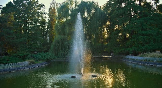 Fountain in the middle of park in city park