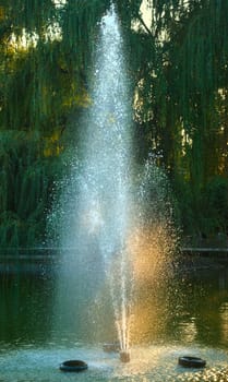 Jet of water from fountain in lake with tree in background