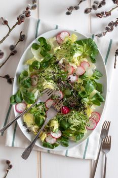 Spring salad with fresh broccoli and kale microgreens on a white background, top view