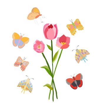 Pink tulip on white background with butterflies. Spring floral background. Vector illustration.
