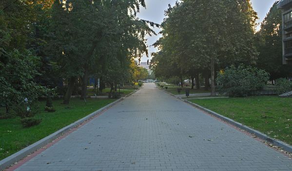 Empty walking street with trees on both sides