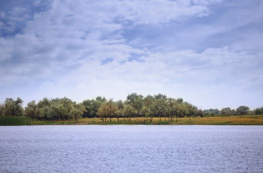 View on Rhine river with trees. Germany, Western Europe