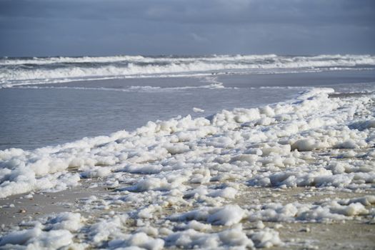 Sea foam on the coast at Pacific Ocean