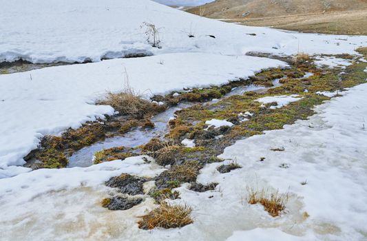 Swampland place with rotten reeds in winter