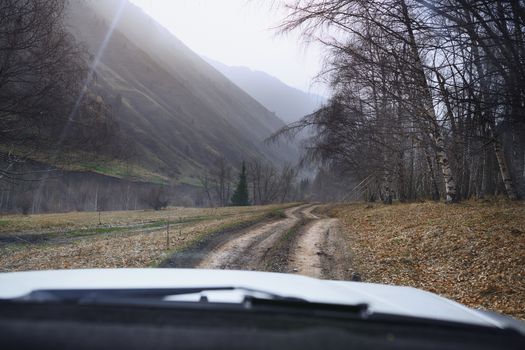 Road trip through the nature of Europe. Car point of view