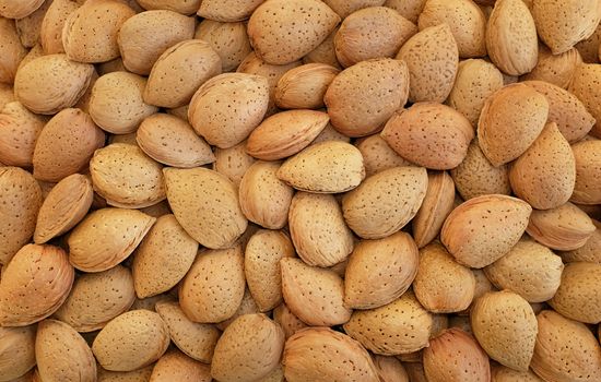 Whole almonds in shells as an abstract background texture