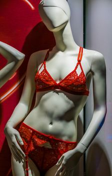 dummy showing sexy female underwear, embroidered luxurious slip and bra, Female fashion