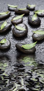Several black basalt massage stones with green leaves on them, covered with water drops, distributed on a black background reflected in the water surface with small waves