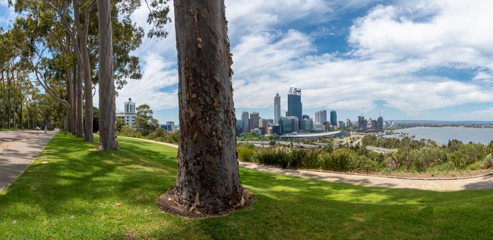 Panorama of Kingspark and Perth in Western Australia with trees and skyline