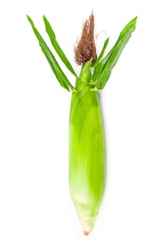 Fresh corn isolated on white background.