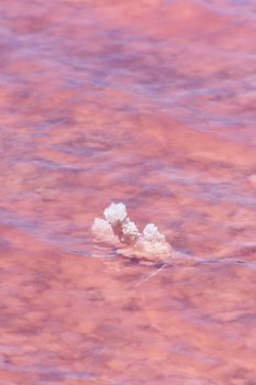 Salt crystals in the low pink water of the Pink Lake next to Gregory in West Australia