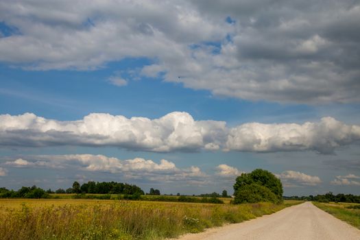 Summer landscape with empty road, trees and blue sky.. Rural road, cornfield, wood and cloudy blue sky. Classic rural landscape in Latvia.