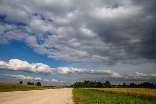 Summer landscape with empty road, trees and blue sky.. Rural road, cornfield, wood and cloudy blue sky. Classic rural landscape in Latvia.