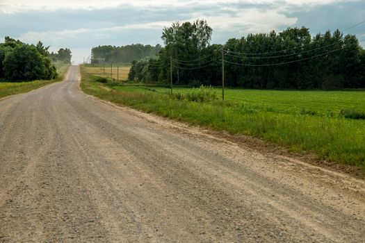 Summer landscape with empty road, trees and blue sky.. Rural road, cornfield, wood and cloudy blue sky. Classic rural landscape in Latvia.