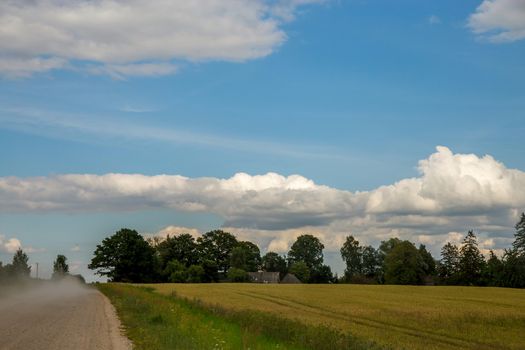 Summer landscape with empty road, trees and blue sky.. Rural road, cornfield, wood and cloudy blue sky. Classic rural landscape in Latvia.