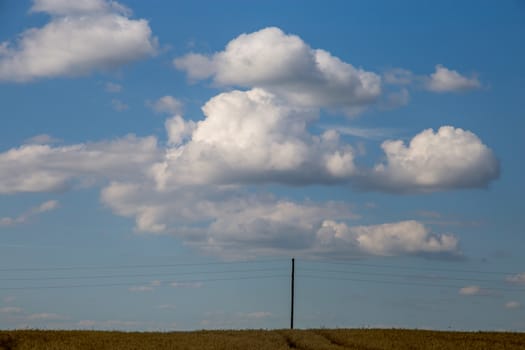 Field with electricity pole on the back, against a blue sky. Summer landscape with field and cloudy blue sky. Classic rural landscape in Latvia.