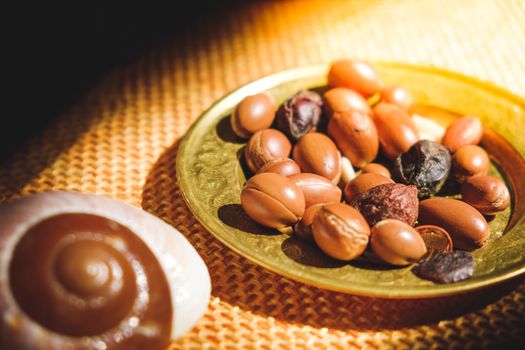 Argan nuts seeds on plate - Argan is an antioxidant used to produce oil for the skin .