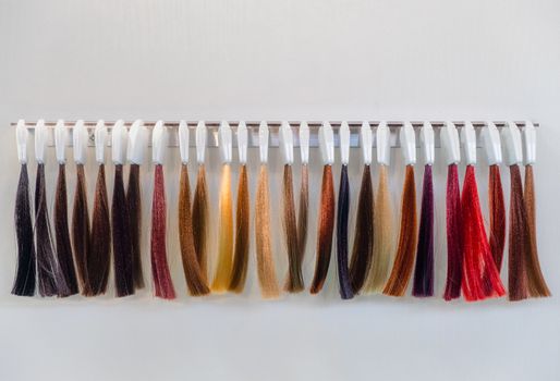 hair dye strands samples for hair dresser