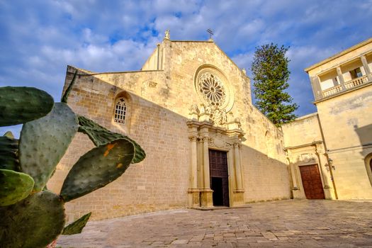 Otranto cathedral - indian fig Apulia - Salento - Italy .