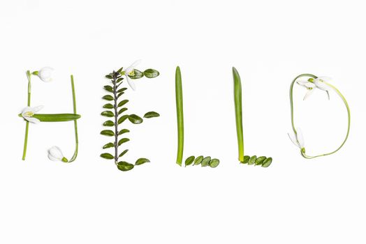 Greetings spring. The inscription of fresh green leaves on a white background Hello . Postcard. Selective focus.
