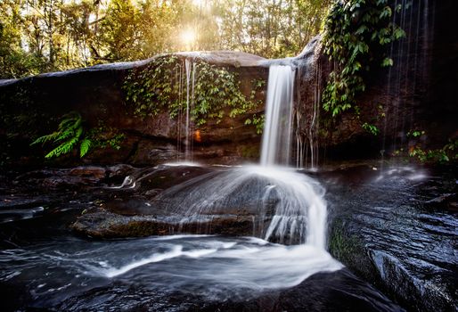 Late afternoon sunlight filtering through the trees at a little waterfall at the Grotto in Wildes Meadow