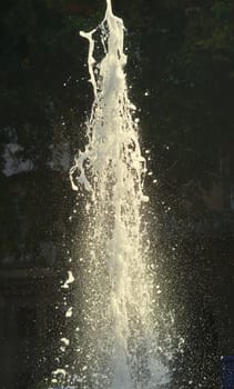 Jet of water from fountain in lake with tree in background