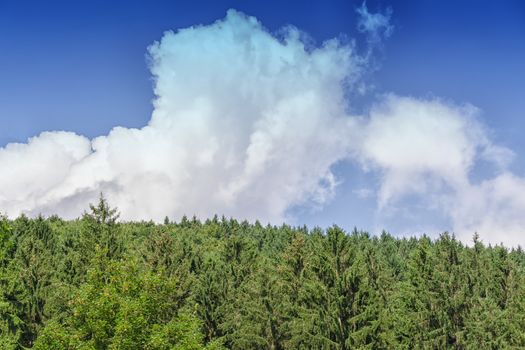Picturesque viewpoint over a forest in the background blue sky
