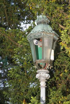 CCTV camera hidden in an old metal street lamp situated among tree branches