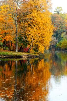 Beautiful autumn landscape with pond in colorful trees forest