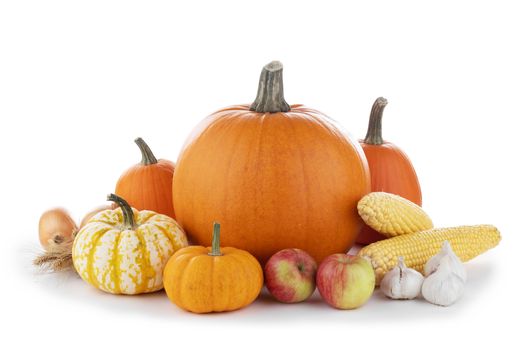 Autumn harvest still life with pumpkins , wheat ears , apples , garlic , onion isolated on wooden background