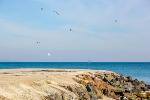 Pomorie, Bulgaria - March 02, 2019: Spring Walk Through The Central Part Of The City.